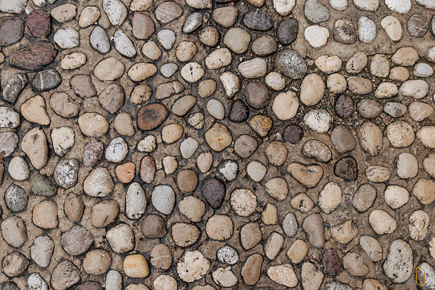A close-up view of a cobblestone street surface made of rounded stones in natural tones. The image represents texture, pattern, and traditional pavement, suitable for backgrounds and design use.