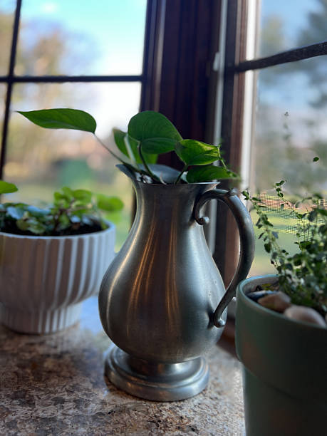 istock Vintage Pots for Houseplants 2253579095