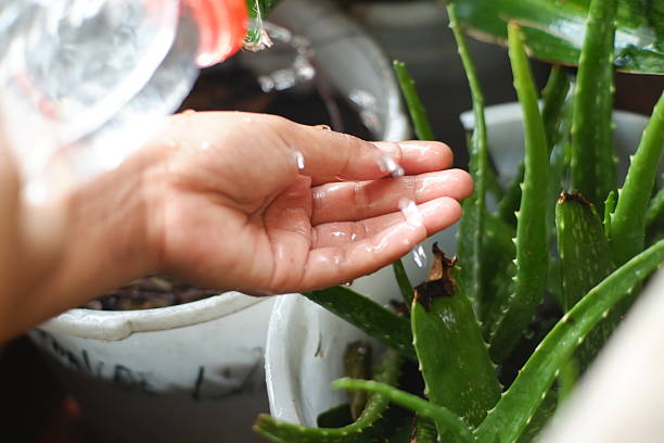 istock Hand Holding Aloe Vera Gel with Water Pouring 2253582904