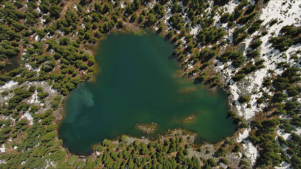 Aerial top view of mountain lake in green fir forest, Hridsko Lake in Montenegro