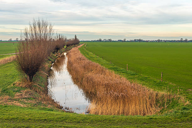 istock Dutch polder landscape with a ditch 2253585590
