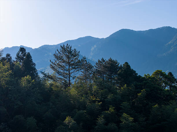 A serene mountain range with lush greenery under a clear blue sky. The scene captures the tranquility and vastness of nature. Potential for use in environmental conservation campaigns or travel brochures.