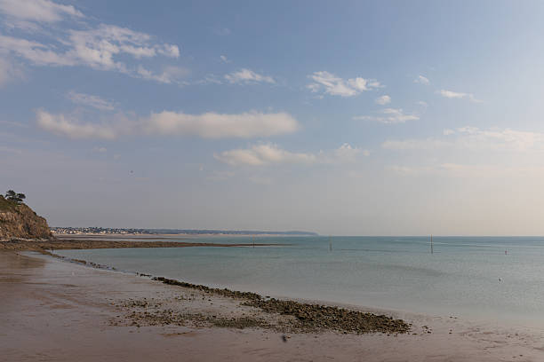 Wooden groynes protecting sandy beach from coastal erosion with seagulls perching