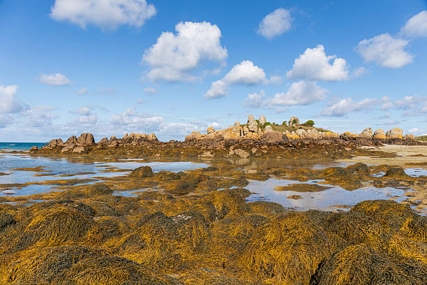 Low Tide Seascape at Chausey Islands, Normandy, France