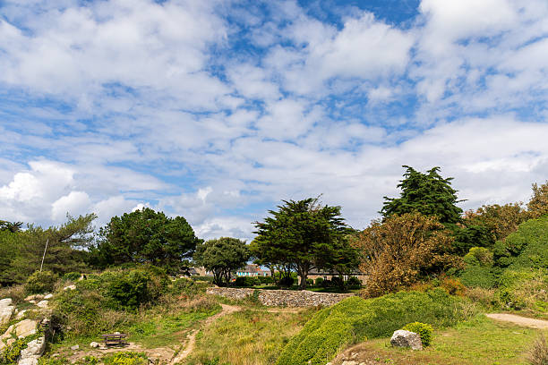 Meadow in Chausey Islands, Normandy, France
