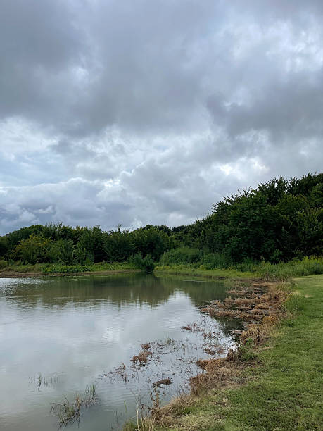 istock Pond in a park in Texas 2253601759
