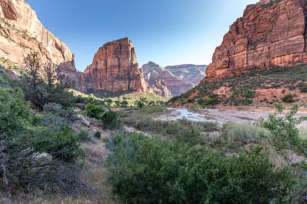 istock Zion National Park Canyon Landscape with Red Rock Cliffs 2253603252