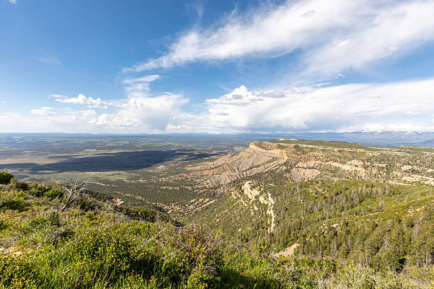 View from Grand Mesa, Colorado to the surrounding forest below.