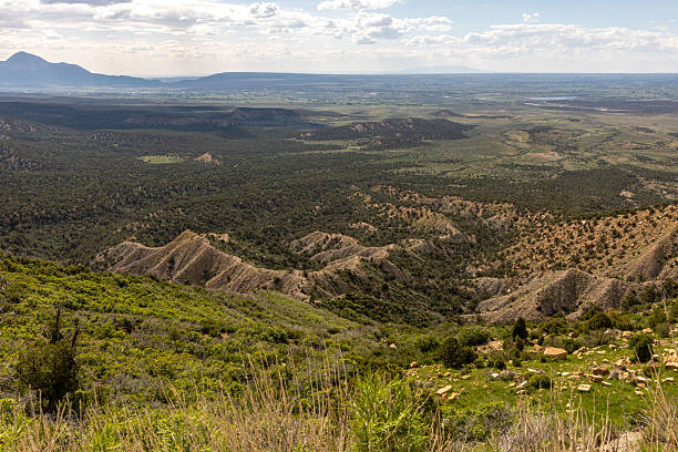 istock Green Meadow and Mesa Verde Landscape Under Blue Sky 2253603344