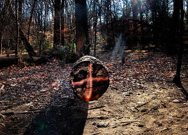 A rural wilderness area on a December day.