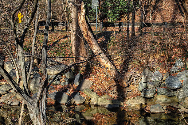 istock A rural wilderness area on a December day. 2253605957