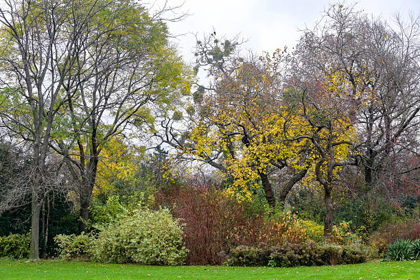 Photograph taken in Vienna, Austria, of a pond in the Stadtpark, the favorite park for both Viennese and tourists visiting the capital. Open to the public since 1862, it is one of the oldest parks in Vienna. The English-style park extends over 65,000 square metres, where a wide variety of plant species grow and different types of birds live. Photo taken at sunset in October