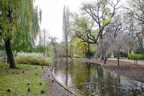 Photograph taken in Vienna, Austria, of a pond in the Stadtpark, the favorite park for both Viennese and tourists visiting the capital. Open to the public since 1862, it is one of the oldest parks in Vienna. The English-style park extends over 65,000 square metres, where a wide variety of plant species grow and different types of birds live. Photo taken at sunset in October