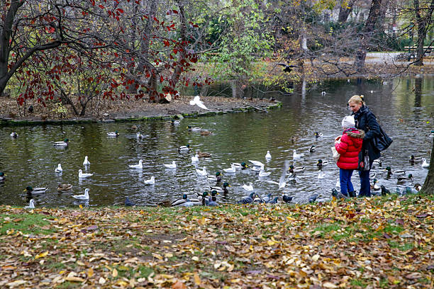 Photograph taken in Vienna, Austria, of a pond in the Stadtpark, the favorite park for both Viennese and tourists visiting the capital. Open to the public since 1862, it is one of the oldest parks in Vienna. The English-style park extends over 65,000 square metres, where a wide variety of plant species grow and different types of birds live. Photo taken at sunset in October