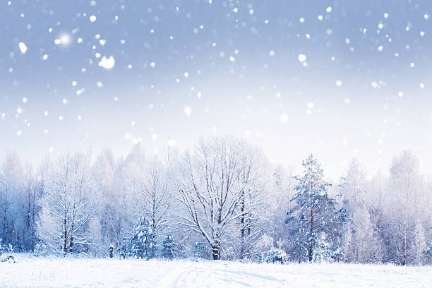 istock Landscape. Frozen winter forest with snow covered trees. 2253609110