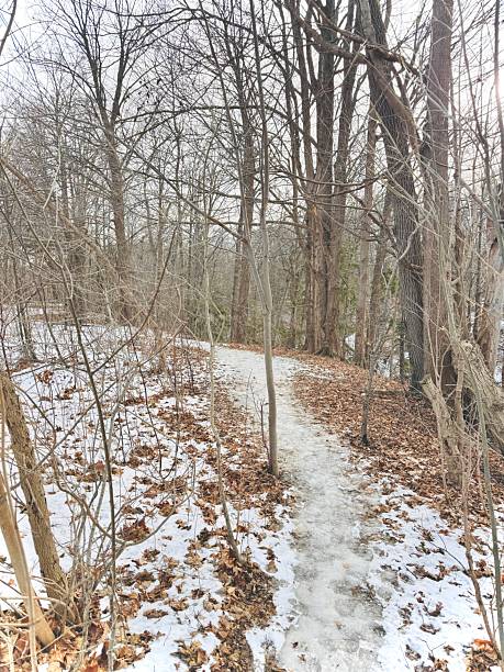 istock Earl Bales Park - White and Gold, Toronto 2253610549