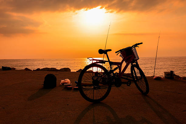 A bicycle at the beach