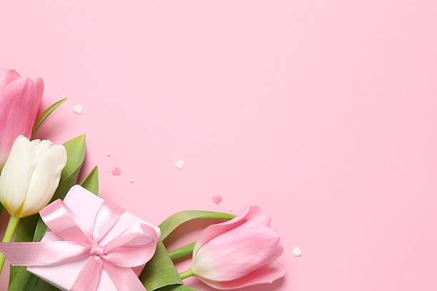istock Beautiful fresh tulips with gift box on color background 2253614199