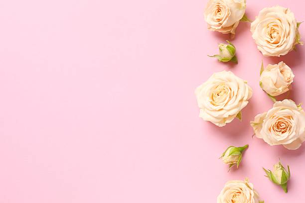istock Beautiful composition with peony roses on pink background 2253614205