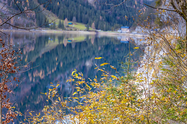 Gosausee lake in Austria with clear alpine water reflecting Dachstein mountains and surrounding forest. Natural mountain landscape showing glacial lake, rocky peaks, outdoor environment, tourism destination, European Alps scenery, nature background, and freshwater ecosystem