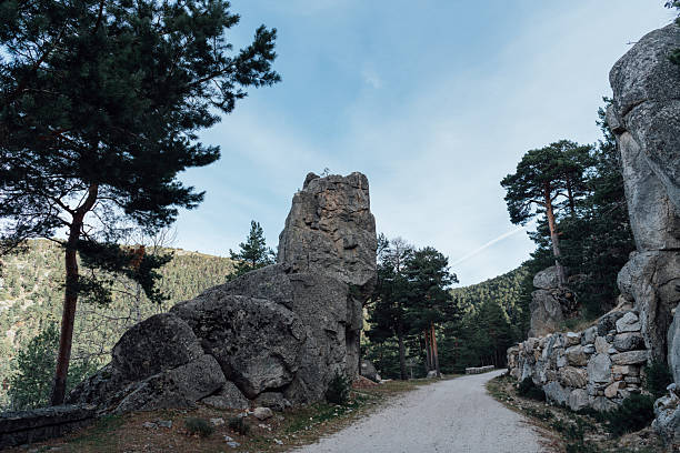 Dirt path winding through rocky mountain terrain and pine forest