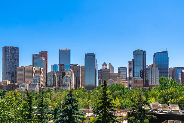 Calgary's impressive skyline rises majestically against a vibrant blue sky, showcasing the city's modern architecture and urban beauty on a clear summer day