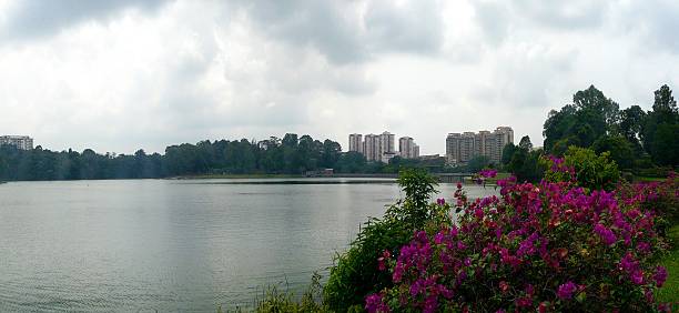 istock View of MacRitchie Reservoir, Singapore 2253617170