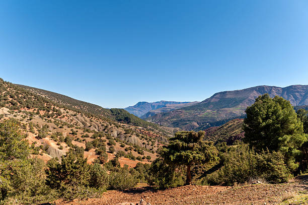 istock Stunning panoramic view of Morocco's Atlas Mountains with terraced fields. 2253617203