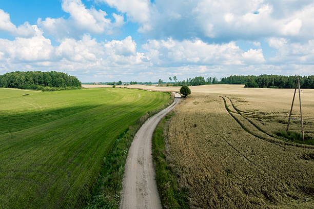 istock Aerial curving farm track between mown grass and golden grain fields 2253617753