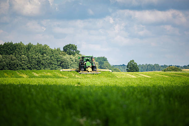 istock Tractor Mowing Parallel Swaths in Rural Field Under Summer Clouds 2253617784