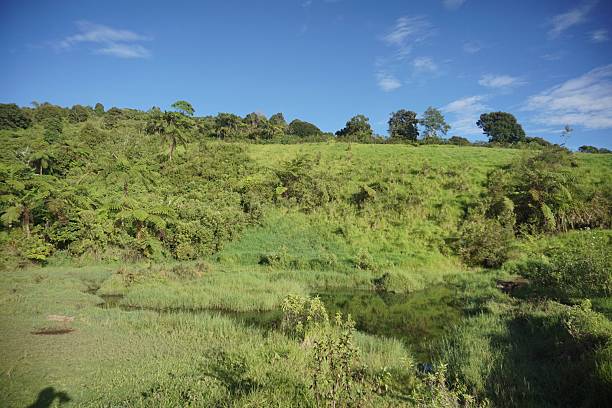 istock Green natural landscape with trees and hills reflected on calm water surface. 2253619753