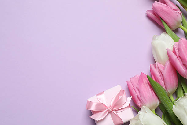 istock Beautiful fresh tulips with gift box on color background 2253620334