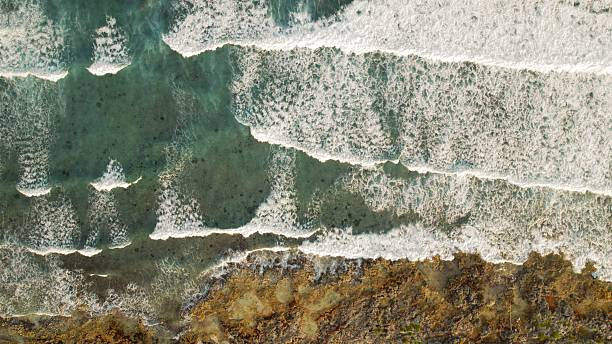 istock Top down view of reef under shallow ocean waves by rocky beach 2253620385