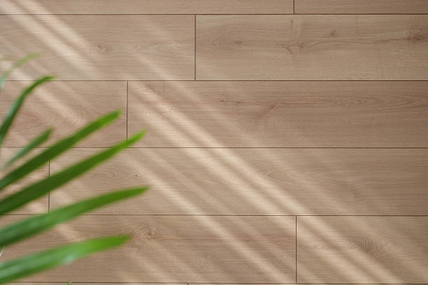 istock Natural light casting shadows on wooden floor with plant 2253623605