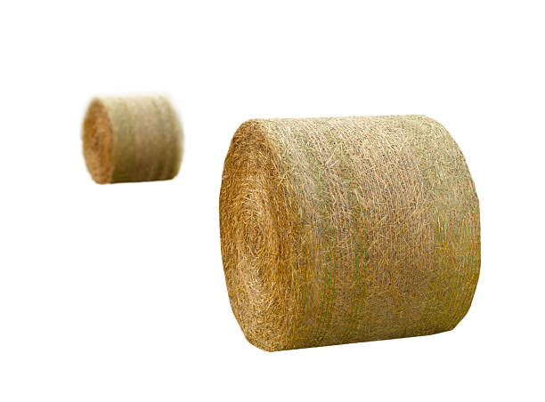 dryround bale isolated on white background