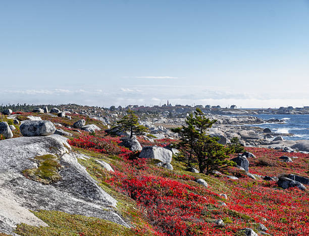 istock Coastal village and rocky shoreline 2253631303