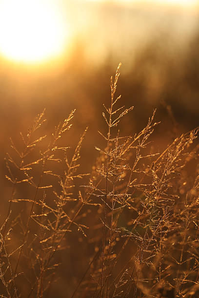 istock The morning sun is shining bright over the world 2253632055