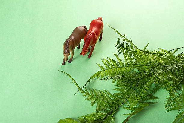 Colorful toys on a green background