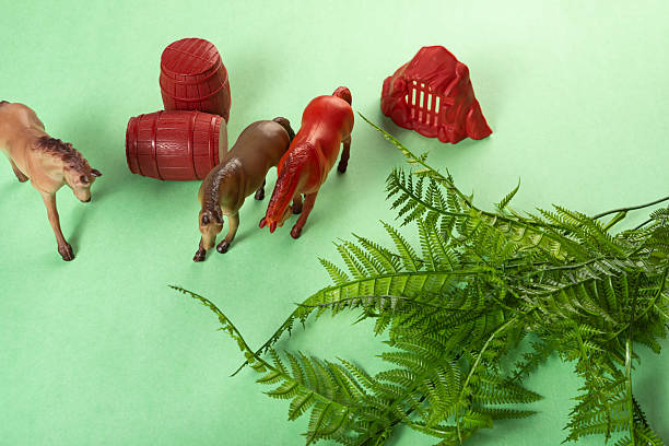 Colorful toys on a green background