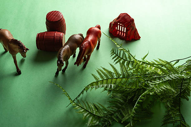 Colorful toys on a green background
