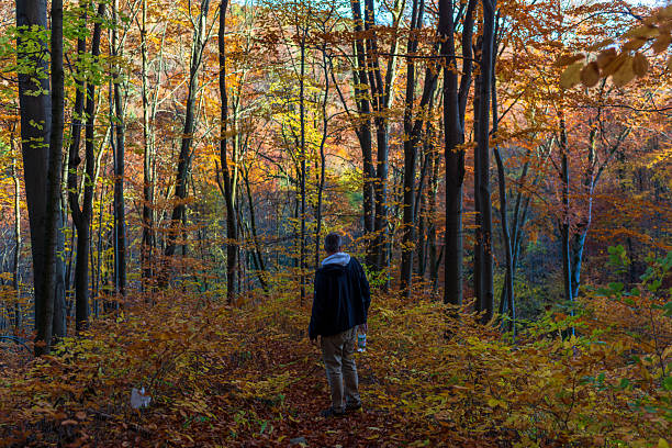 istock Lone man standing on a forest path surrounded by vibrant autumn trees 2253633950