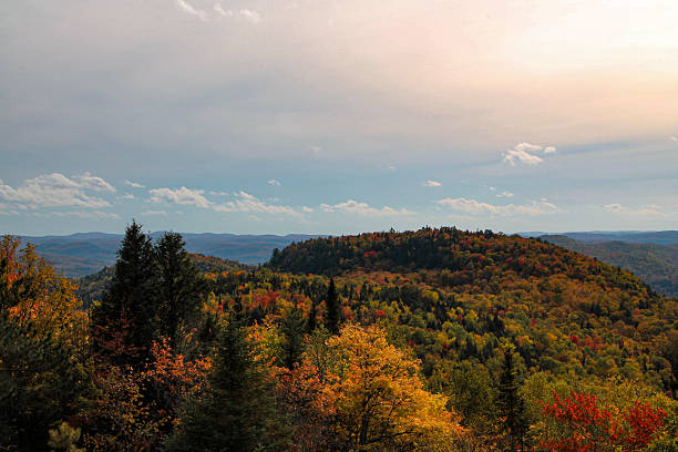 Rolling hills covered in autumn forest under soft light in Quebec