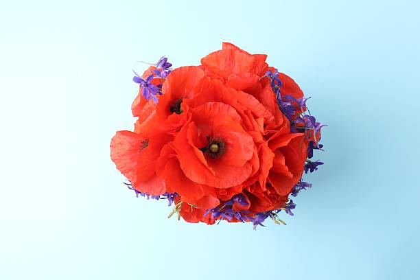 istock Beautiful bouquet with red poppies, close-up 2253634424