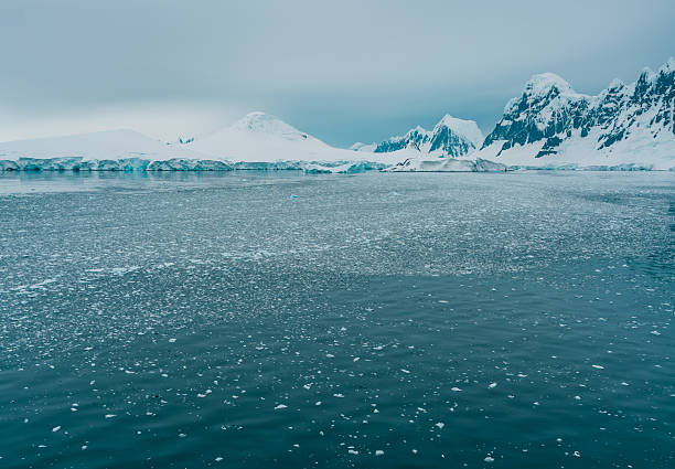 Antarctic Ocean seascape