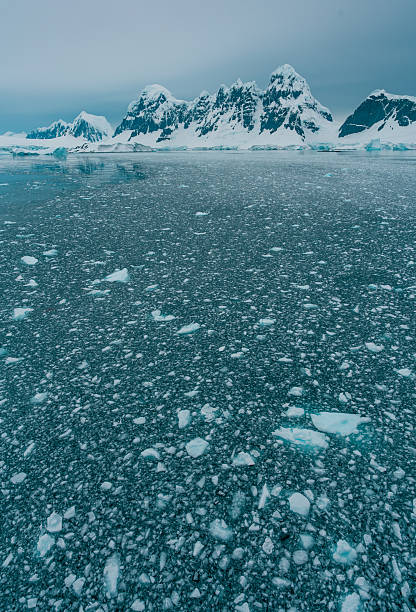istock Antarctica Epic Wide Icy Bits with Snow Covered Mountains in Gerlache Strait at Dusk. Vertical Landscape Remote Adventure Travel View From Boat 2253636452