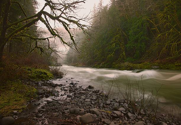 istock East Wilson River Oregon Coastal mountain range Oregon State 2253636847