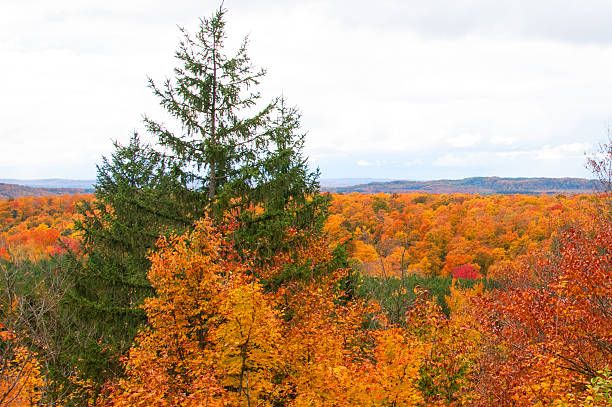 Vista with fall leaf colors-Northern Michigan