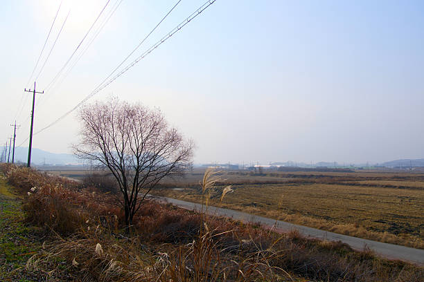 A country road heading somewhere