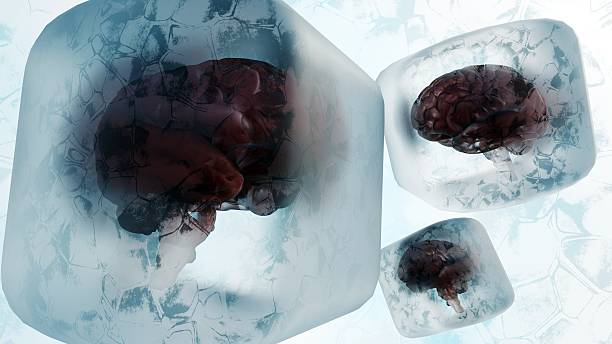 istock A 3D render of a human brain in an ice cube, representing Neurocryopreservation 2253646210