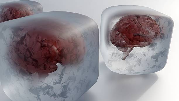 istock A 3D render of a human brain in an ice cube, representing Neurocryopreservation 2253646211